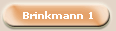 Brinkmann 1